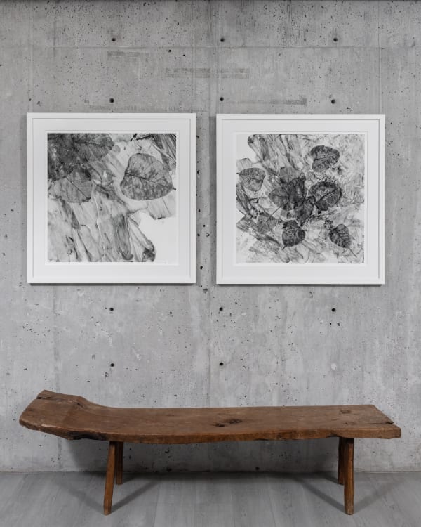 Changing Seasons 1 (B&W 1) and (B&W 3), 2022 Giclée Print on Canvas 36 x 36 in 91.4 x 91.4 cm