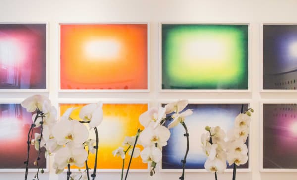 Lyndsey Ingram Gallery Exhibitions Myfavouritecolourisrainbow 2018 8131 Web