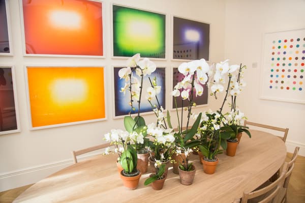 Lyndsey Ingram Gallery Exhibitions Myfavouritecolourisrainbow 2018 8249 Web