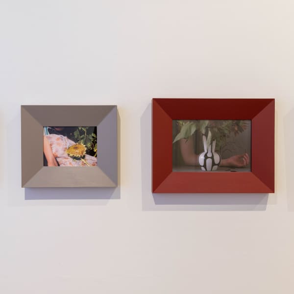 Lyndsey Ingram Gallery Exhibitions Natureobserved 2020 Web 11