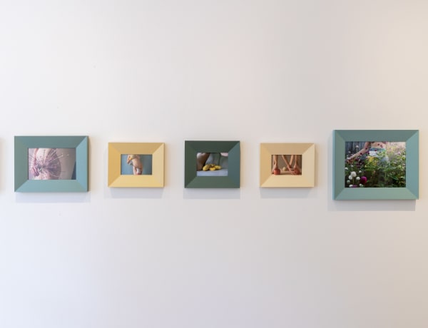 Lyndsey Ingram Gallery Exhibitions Natureobserved 2020 Web 15