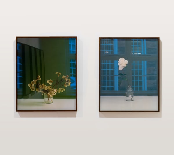 Katefriend Aschosenby Installationphotography November2021 Highres Pairs 4