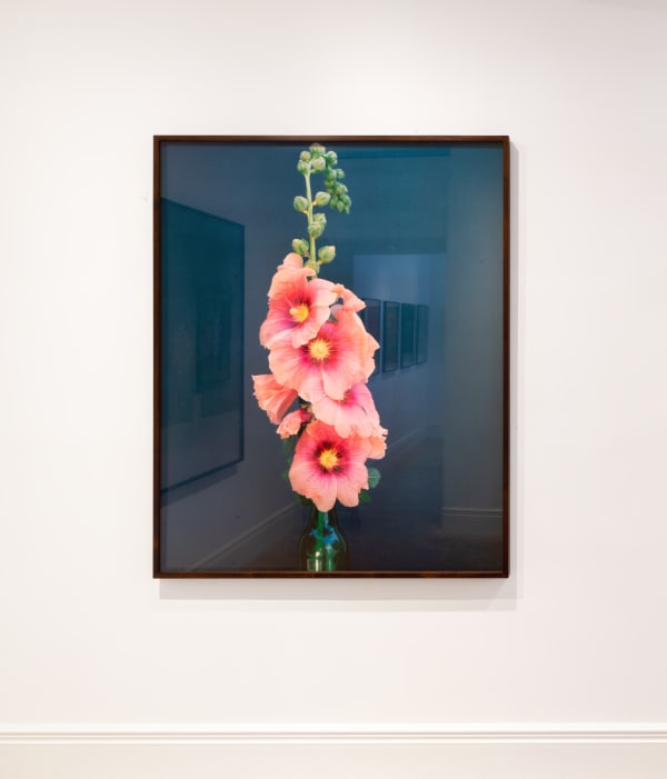 Katefriend Aschosenby Installationphotography November2021 Highres 2 1