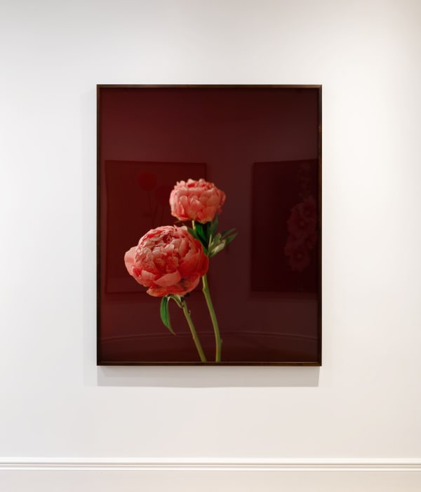 Katefriend Aschosenby Installationphotography November2021 Highres 2 3