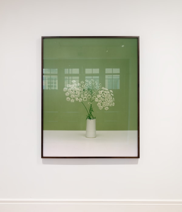 Katefriend Aschosenby Installationphotography November2021 Highres 2 4