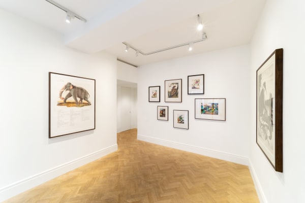 Waltonford Graphicworks Lyndseyingramgallery 2022 Lucy Emms Highres 10