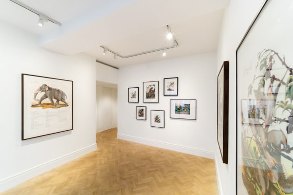 Waltonford Graphicworks Lyndseyingramgallery 2022 Lucy Emms Highres 15