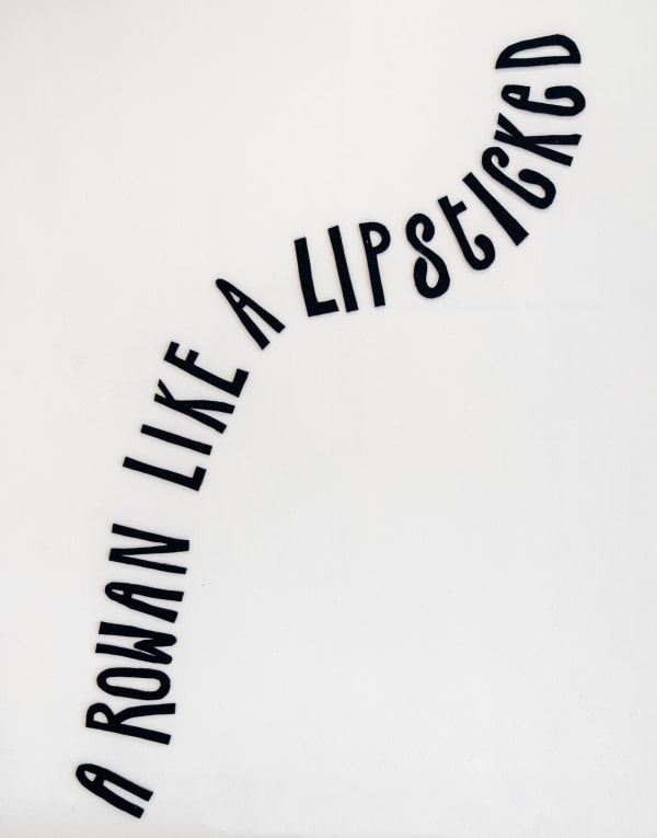 Batch2 Kate Daudy Installation Photography May 2024 Lyndsey Ingram Gallery Highres 42