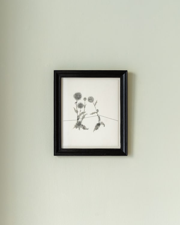 Anne Laure Zevi Installation Photography Highres Batch2 22