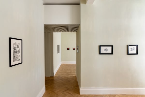 Anne Laure Zevi Installation Photography Highres Batch2 9