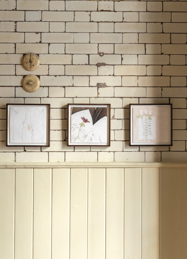 Danitre To Make A Shirt From Anemones Installation Photography Nov2024 Highres Batch2 12