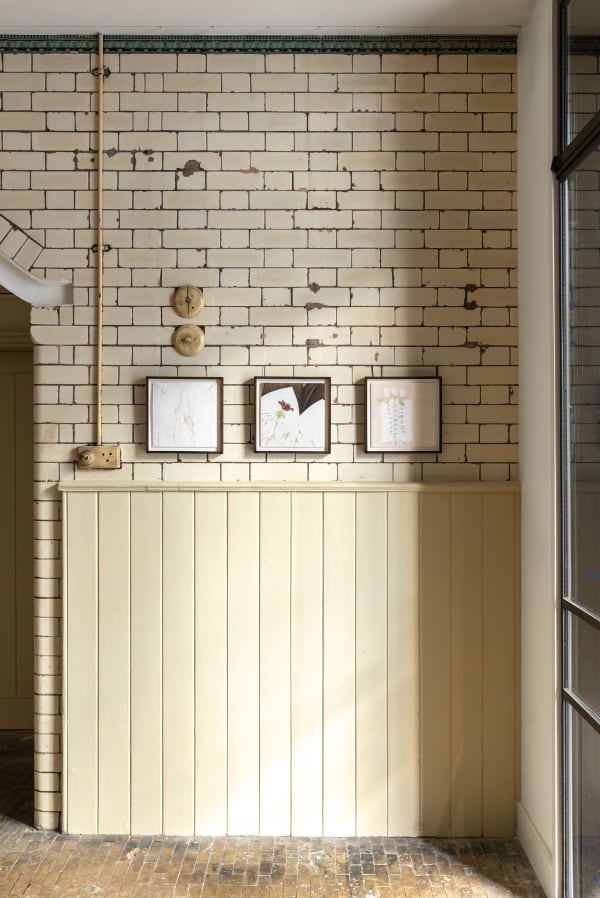 Danitre To Make A Shirt From Anemones Installation Photography Nov2024 Highres Batch2 13