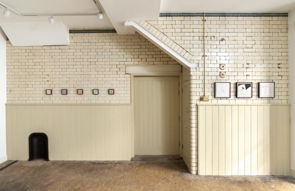 Danitre To Make A Shirt From Anemones Installation Photography Nov2024 Highres Batch2 14