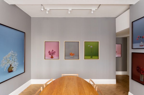 Installation Photography Kate Friend There Are Always Flowers For Those Who Want To See Them 2025 Highres 15