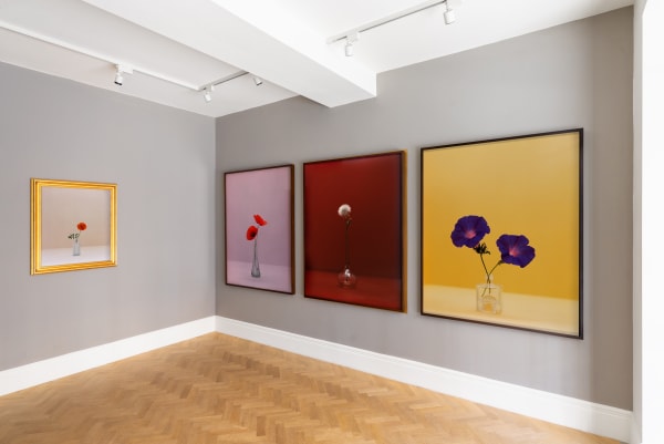 Installation Photography Kate Friend There Are Always Flowers For Those Who Want To See Them 2025 Highres 3