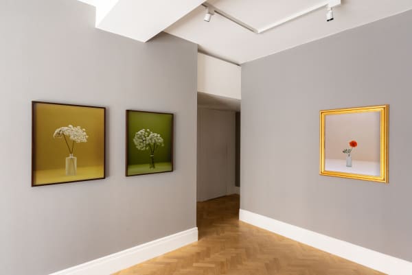 Installation Photography Kate Friend There Are Always Flowers For Those Who Want To See Them 2025 Highres 4