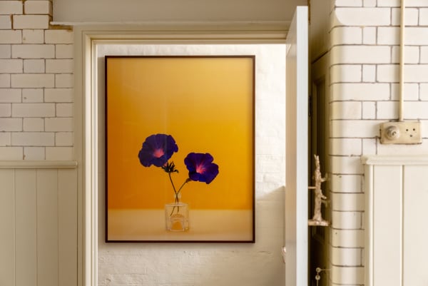 Summer Hang 20 Bourdon Street Installationn Photography Highres 9