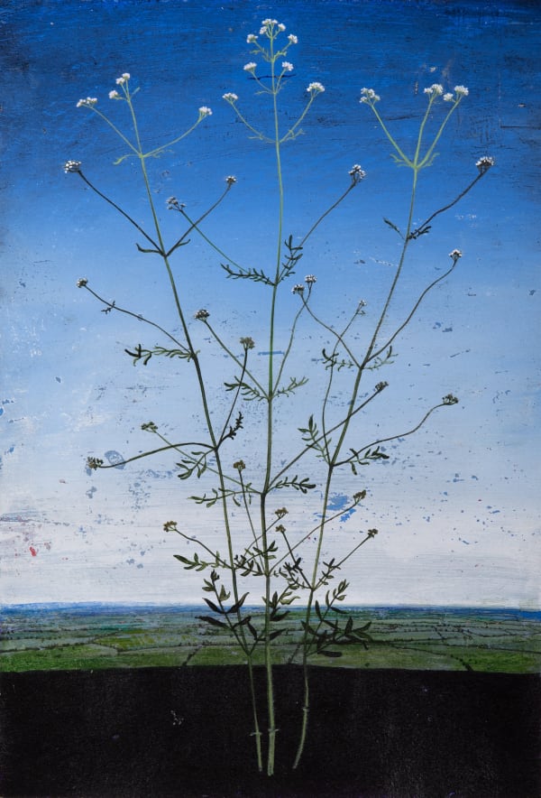 Michael Canning Untitled Study, 2019 Acrylic on paper. Signed in pencil. 29.7 x 20.2 cm (11 3/4 x 8 in)