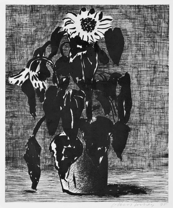 David Hockney Sunflower I, 1995 Etching and aquatint. Signed in pencil and numbered from the edition of 80. Printed by Maurice Payne; Los Angeles, New York. Published by Lococo Moulder Inc. Maurice Payne; Los Angeles, New York. 38 x 46 cm (15 x 18 1/8 in)
