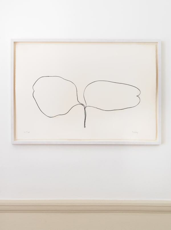 Ellsworth Kelly Locust (Acacia), 1965-66 Lithograph. Signed in pencil and numbered 21 from the edition of 75, with 10 artist's proofs. Published by Maeght Éditeur, Paris. Printed on Rives BFK wove paper by Imprimerie Arte, Paris. (Axsom 52) 60.8 x 89.8 cm (24 x 35 3/8 in)