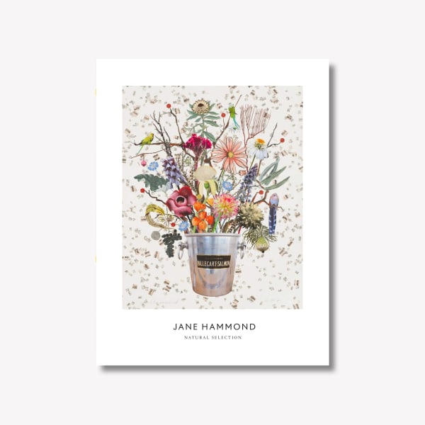 Jane Hammond Natural Selections exhibition catalogue