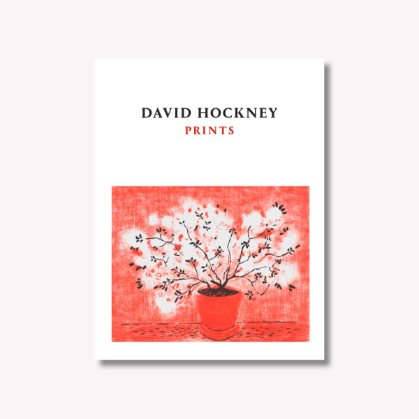 David Hockney - Prints - Catalogue main image