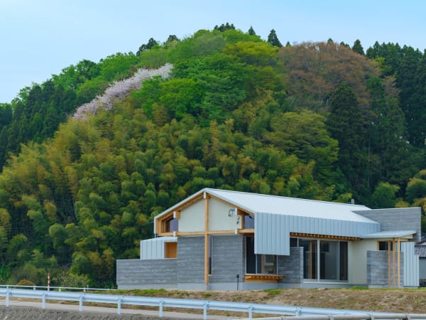 Keyaki Monogatari (The Tale of Zelkova) / Japan, MABUCHI Daiu LAB + KAZE LLC / Japan