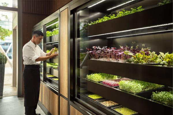 Smart Mobile Farms, Farmacy HK / Hong Kong