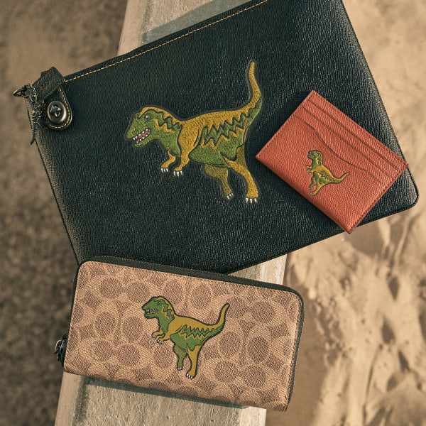 COACH - Find Rexy, New iMedia Solutions Ltd / Hong Kong