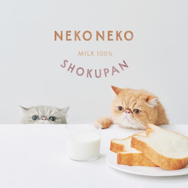 neko neko shokupan, & Rainbow Inc. / Japan
