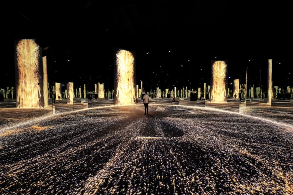 ARTE MUSEUM / Korea, d'strict holdings, Inc. / Korea