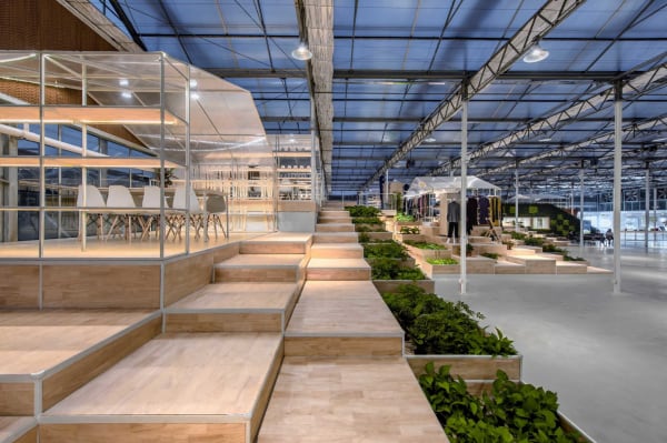 Jiaxing Xiyue Rural Complex Exhibition Center / Mainland China, ANTAO / Mainland China