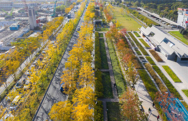 Xuhui Runway Park / Mainland China, Sasaki / United States