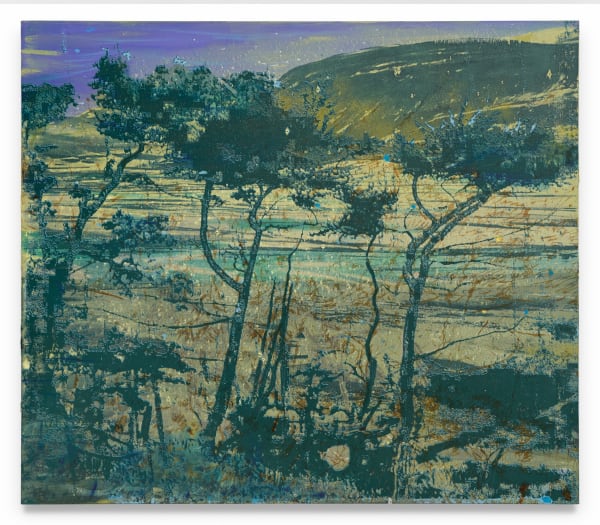 ELIZABETH MAGILL Stuck, 2023 Mixed medium on canvas 50 1/2 x 58 1/4 inches 128.3 x 148 cm (MMG#37291)