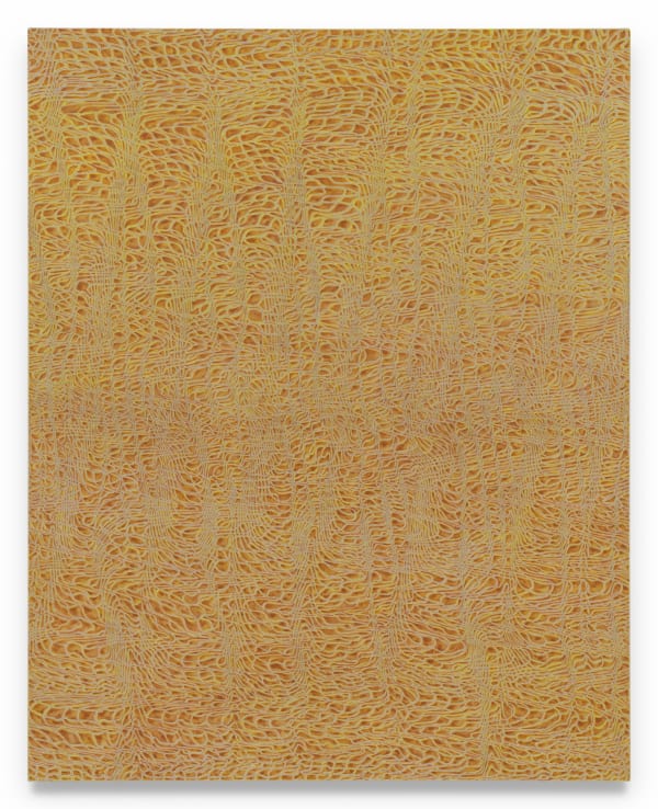 JAMES SIENA PHENOTASP, 2024 Acrylic and graphite on linen 60 x 48 inches 152.4 x 121.9 cm (MMG#37234)