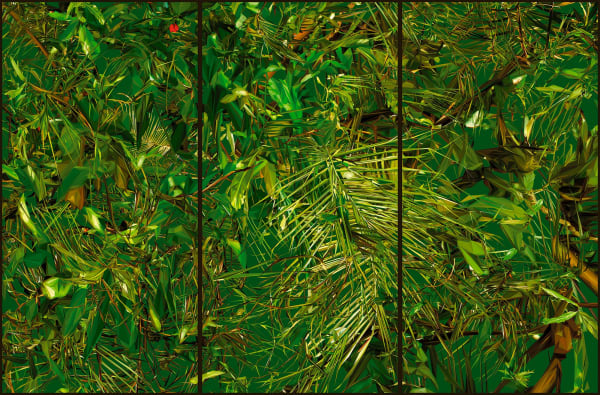 Albano Afonso, from the series Landscape Crystallisation, 2021