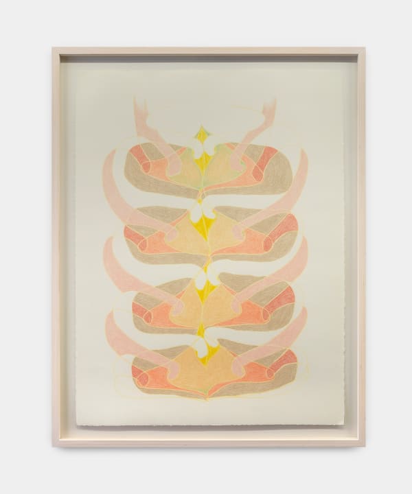 Juliana Cerqueira Leite, Ficções Anatômicas [Anatomical Fictions] 03, 2020