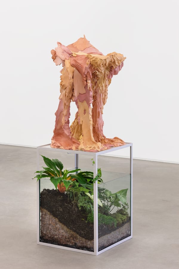 Juliana Cerqueira Leite, Quadruped, 2020