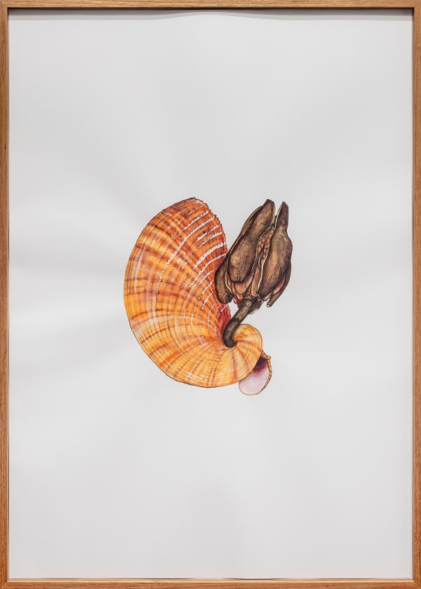 Mariana Palma, Sem Título [Untitled], 2020