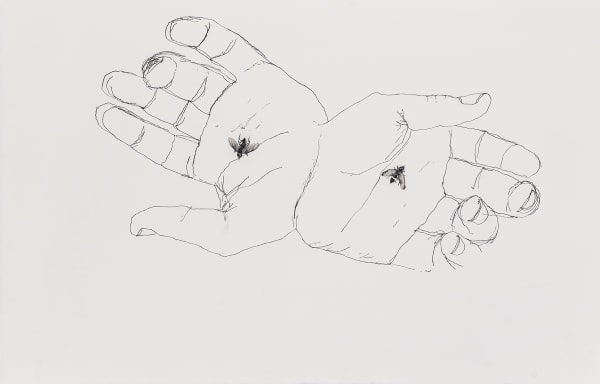 Eduardo Berliner, Moscas [Flies], 2020