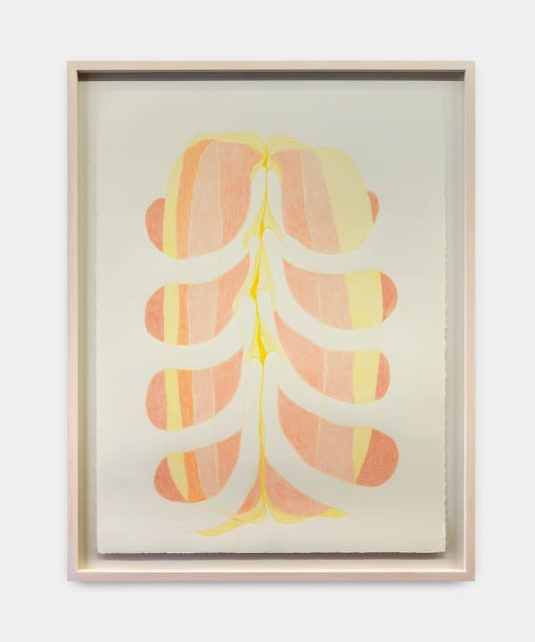 Juliana Cerqueira Leite, Ficções Anatômicas [Anatomical Fictions] 02, 2020