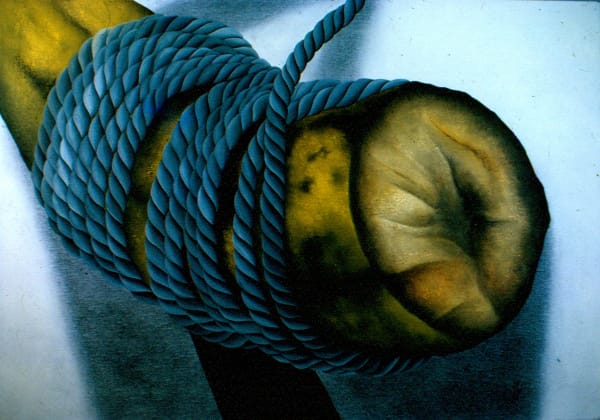 Antonio Henrique Amaral, CAMPO DE BATALHA 14