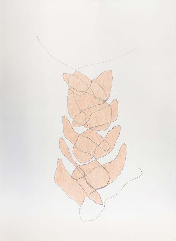 Juliana Cerqueira Leite, Sem Título, da série Estudos de Movimentos Repetitivos [Untitled, from the series Study of Repetitive Movements], 2019