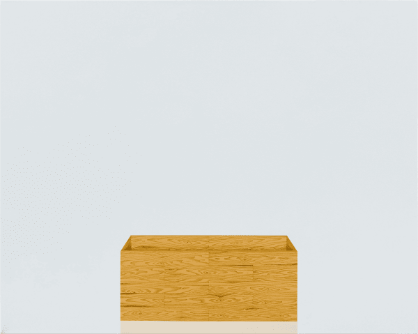 Valdirlei Dias Nunes, Untitled (caixa de madeira), 2021