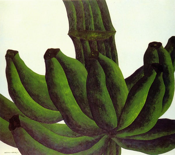 Antonio Henrique Amaral, Brasiliana 9, 1969