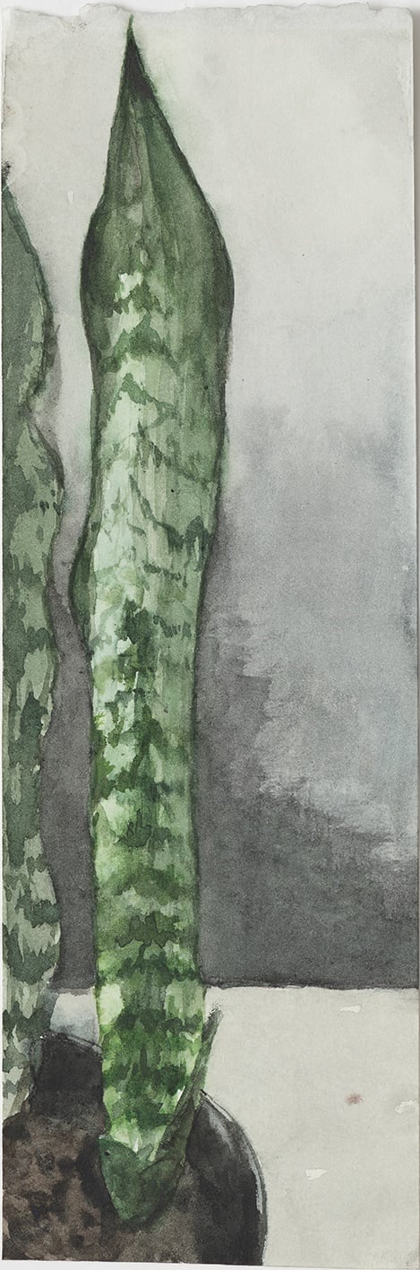 Eduardo Berliner, Plantas [Plants] III, 2020