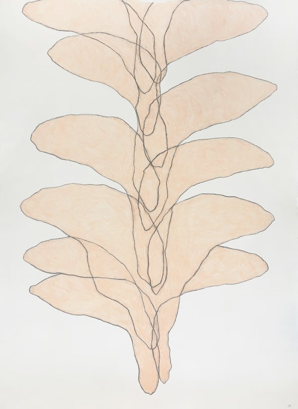 Juliana Cerqueira Leite, Sem Título, da série Estudos de Movimentos Repetitivos [Untitled, from the series Study of Repetitive Movements], 2019