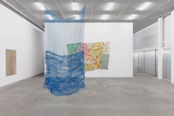 ZÉ TEPEDINO . TUDO É A FORMA QUE FALA