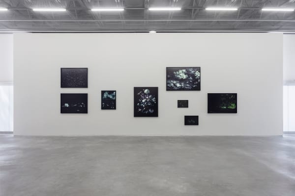 ALBANO AFONSO . FORA DE REGISTRO