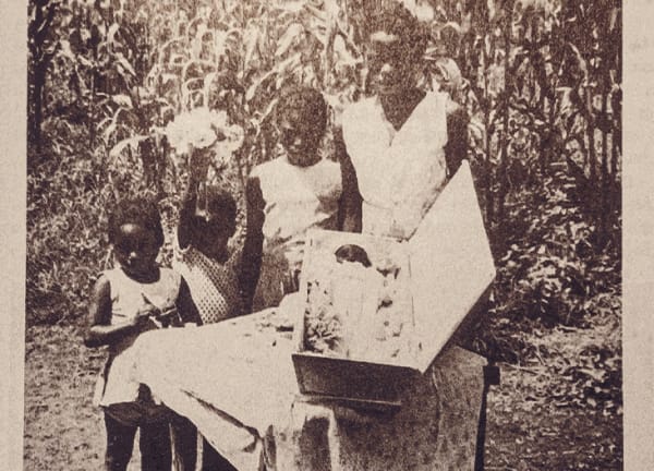 Ivan Grilo . Minha Terra Tem Palmeiras